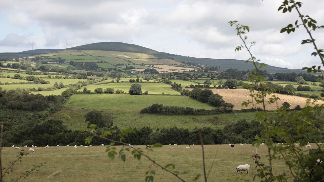 NI agriculture minister launches £2.2m rural grant
