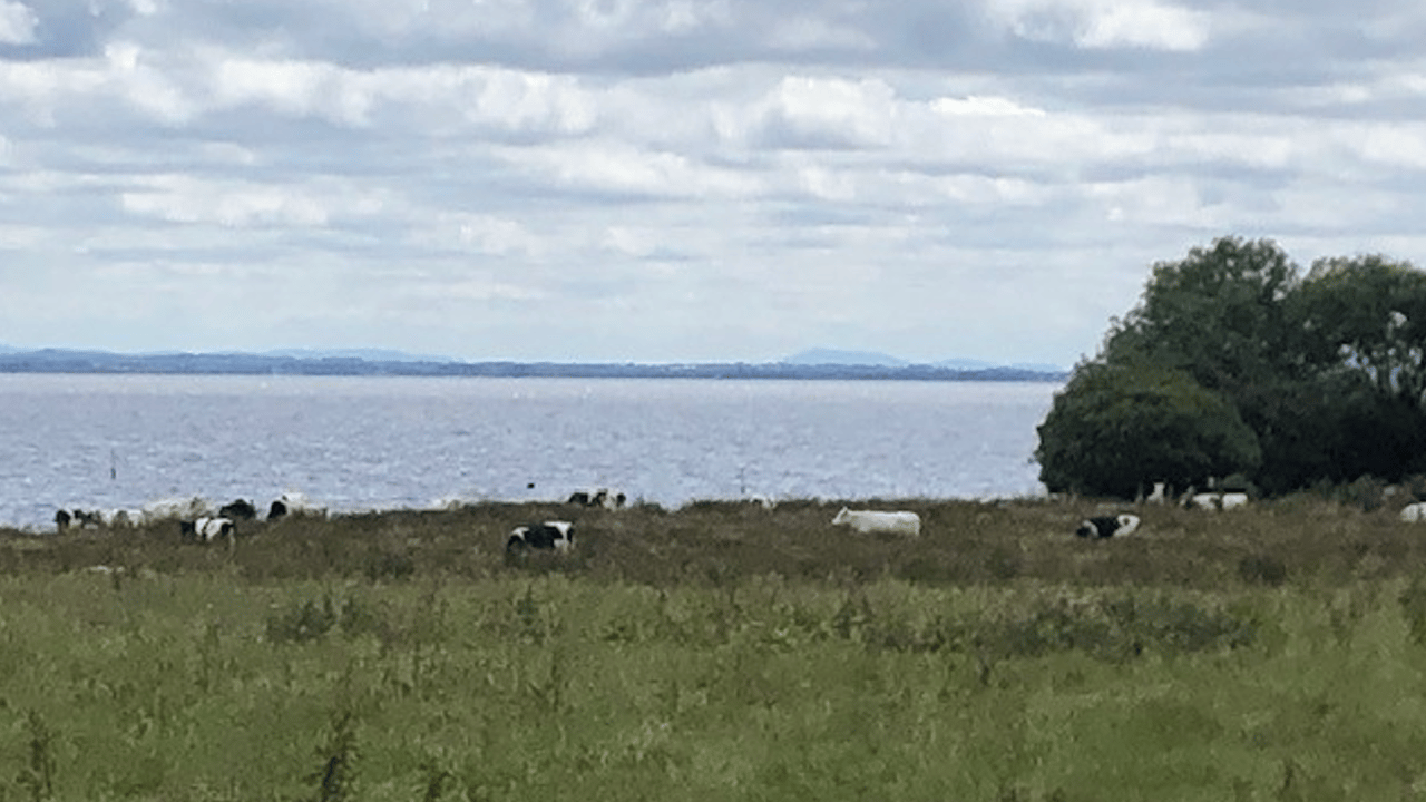 DAERA announces £380,000 in funding to improve water quality