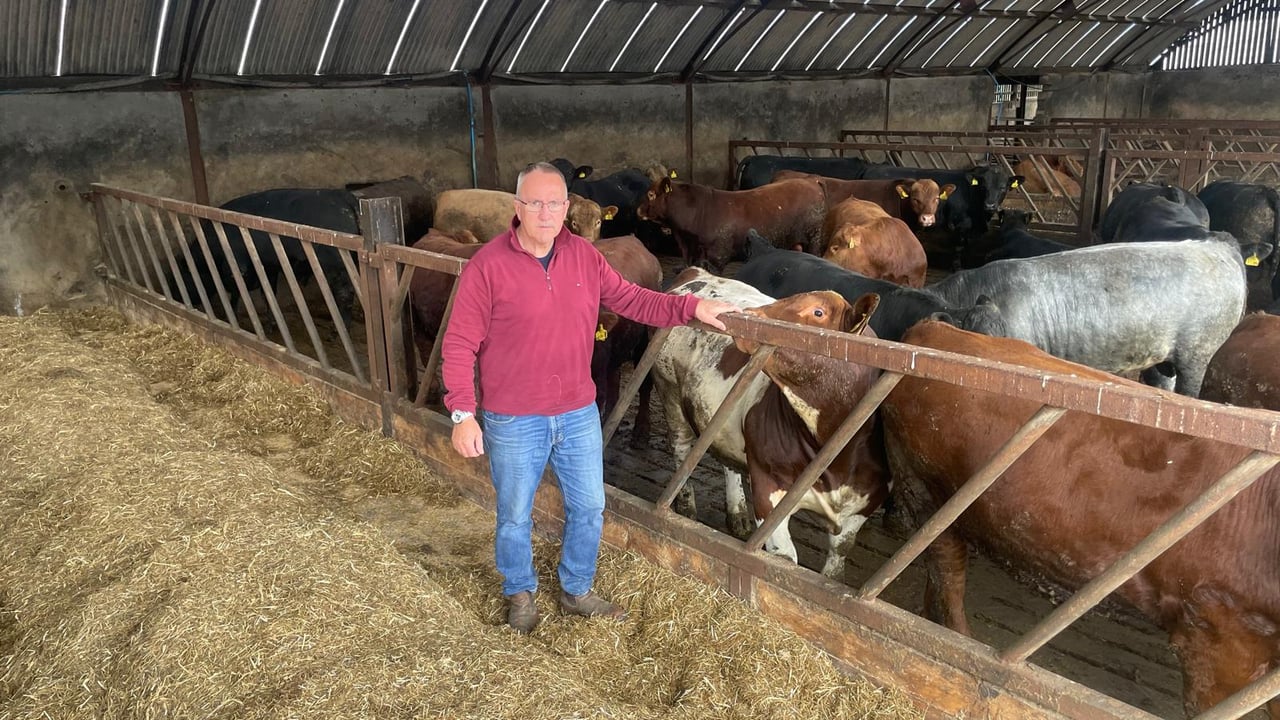 Beef processors ‘moved too far and too fast in cutting prices’ – UFU