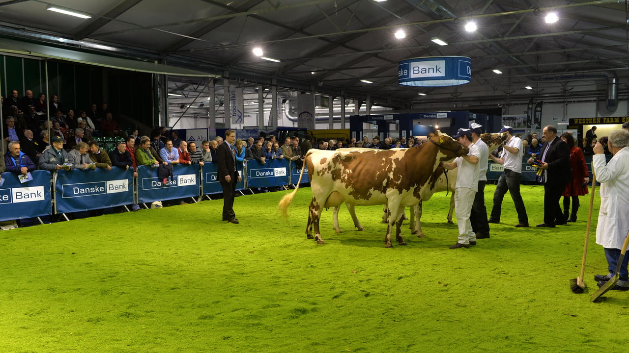 Former World Expo Dairyman of the Year to judge this year’s Winter Fair