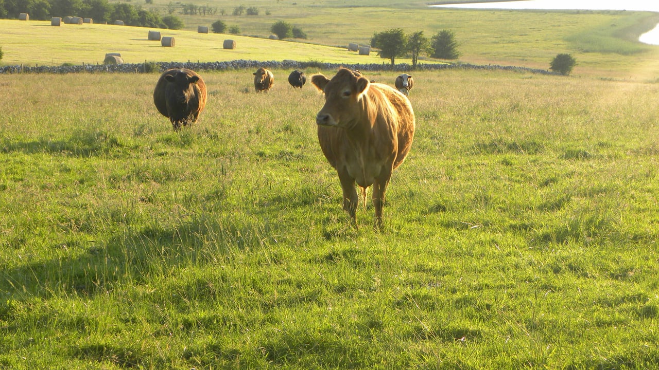 €4 billion rural development fund outlined 