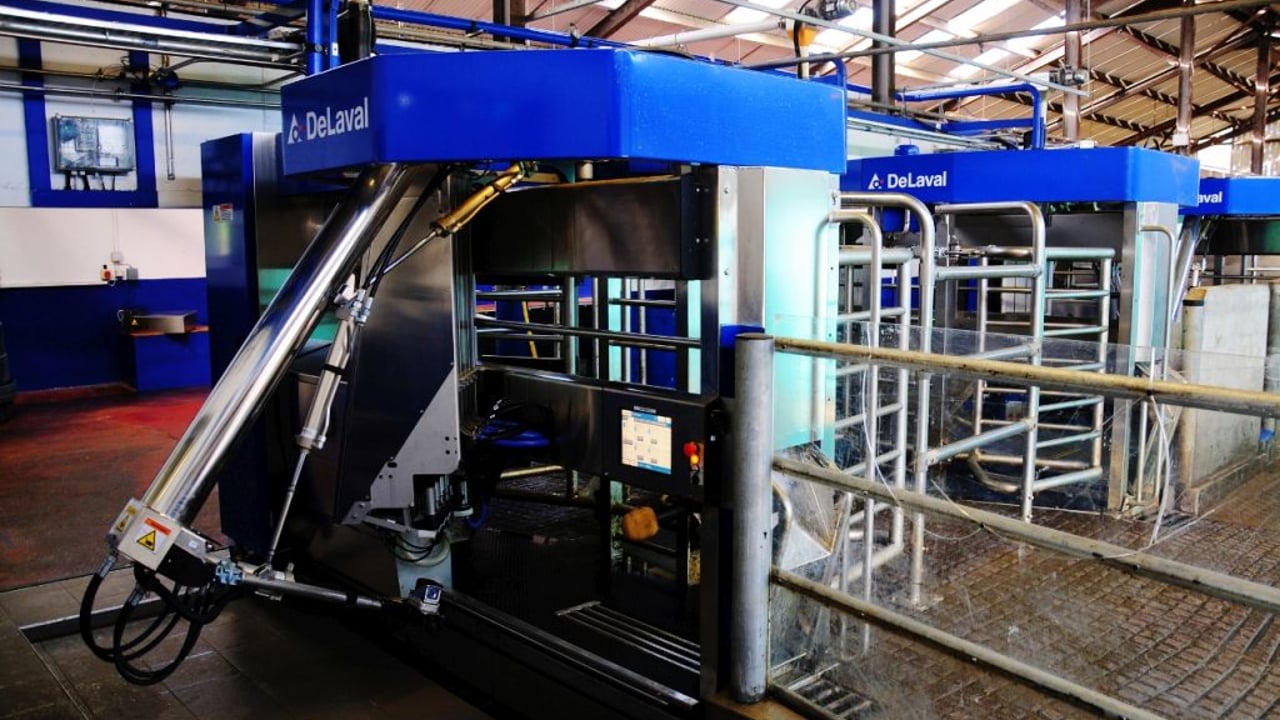 DeLaval milking robots installed to milk 4,500 cows in Chile