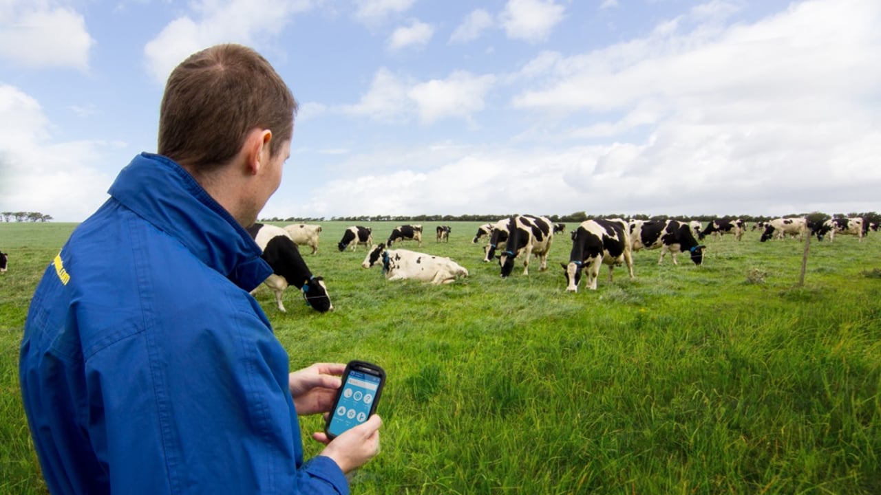 Dairymaster Moo-ve for greater profitability on dairy farms