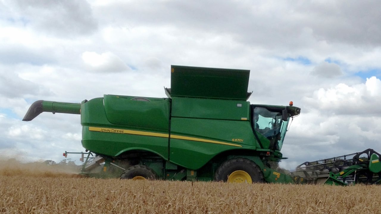 ‘International cereal prices hinge on the smallest of margins’