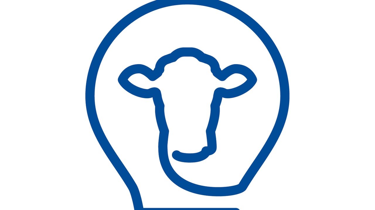 Larry Goodman’s ABP Group partners with Intel and DCU to host first beef hackathon