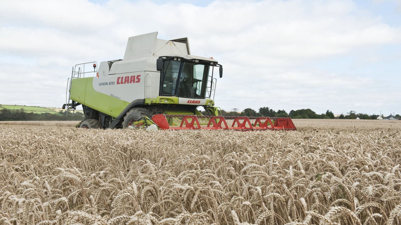 New greening measures will act to reduce EU grain output by 8%
