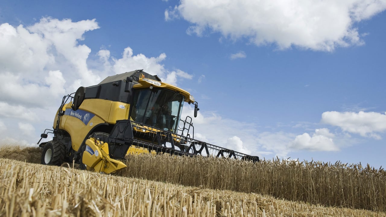 Ukraine 2015 grain harvest estimated to be significantly down
