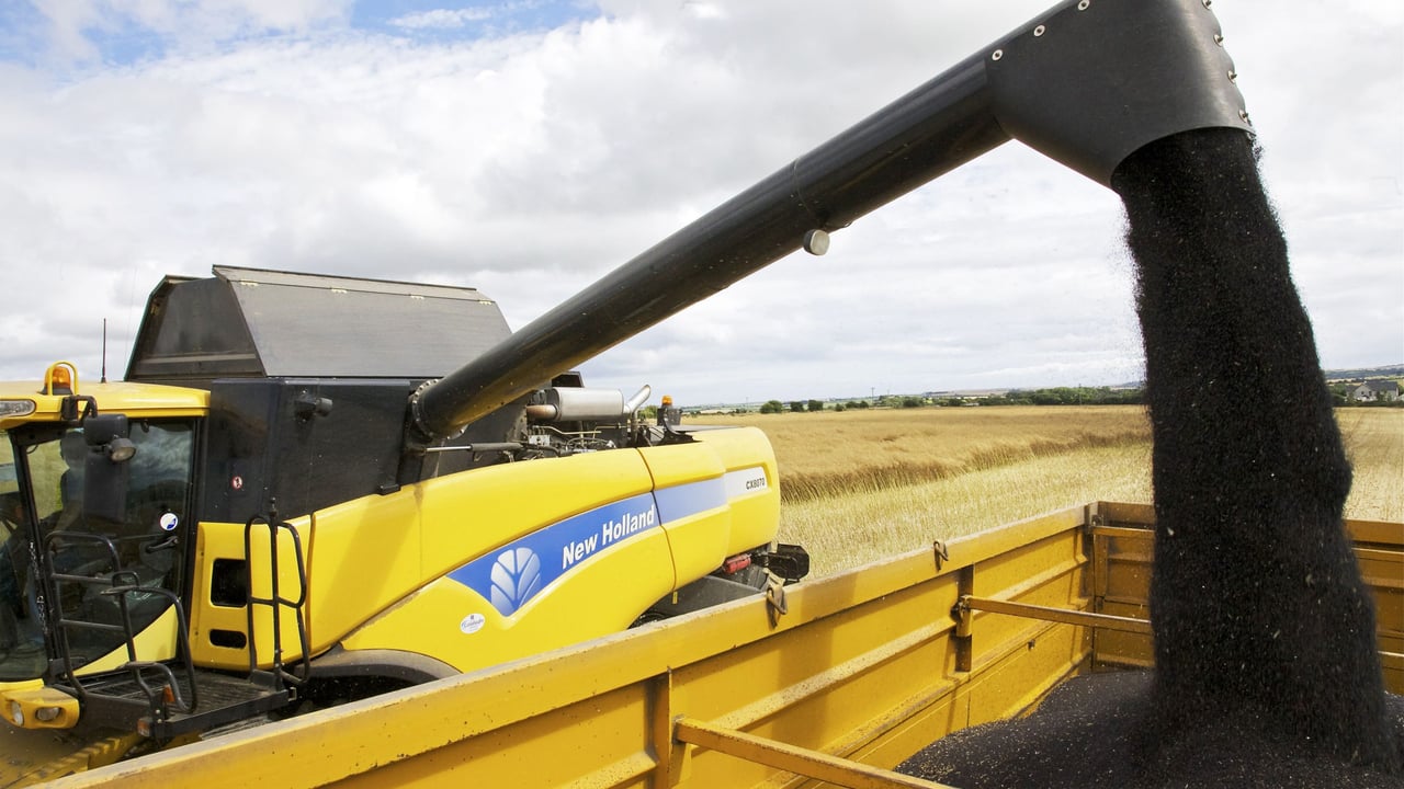 Review of AHDB recommended lists underway