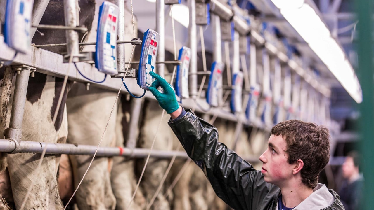 Voluntary Milk Reduction Scheme will not be made mandatory – Hogan