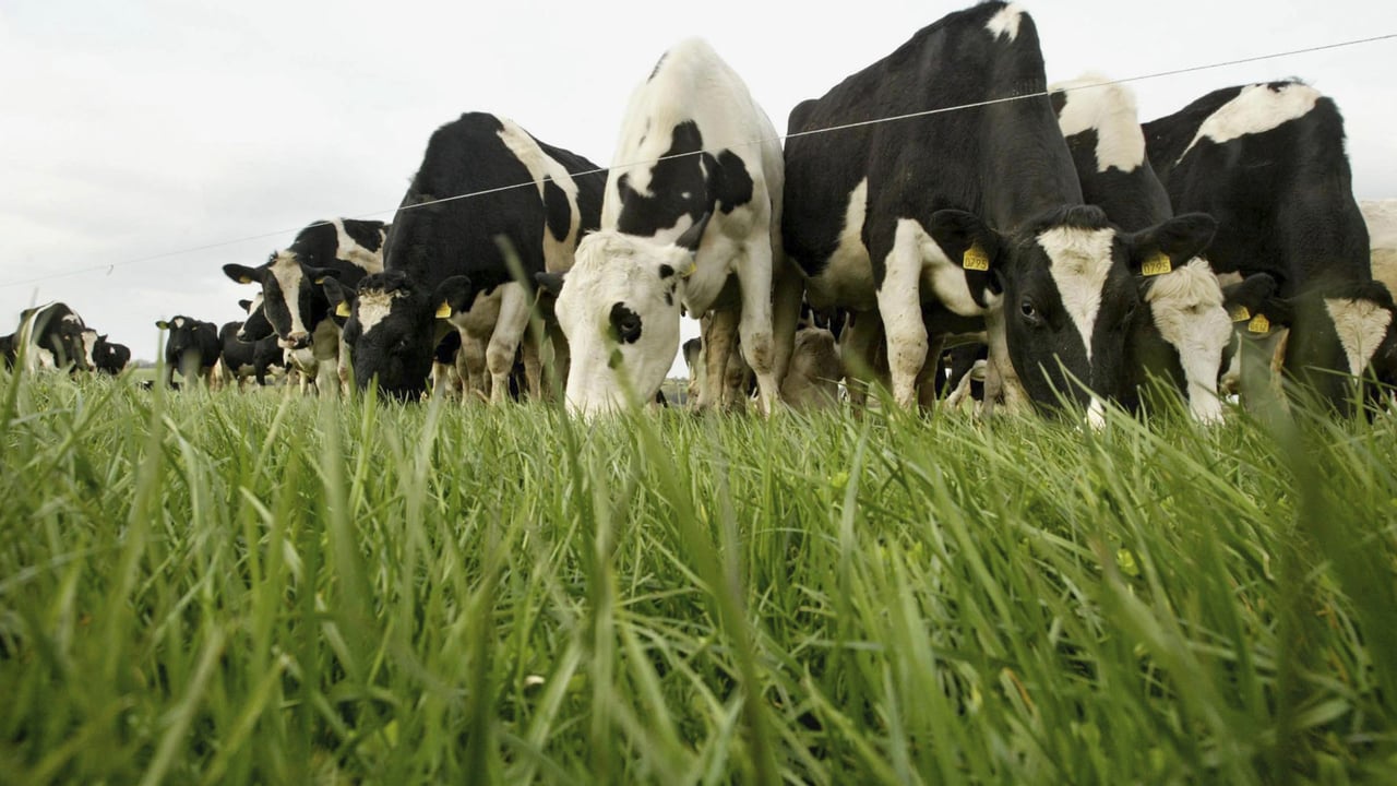 Methane emissions now being measured by laser guns
