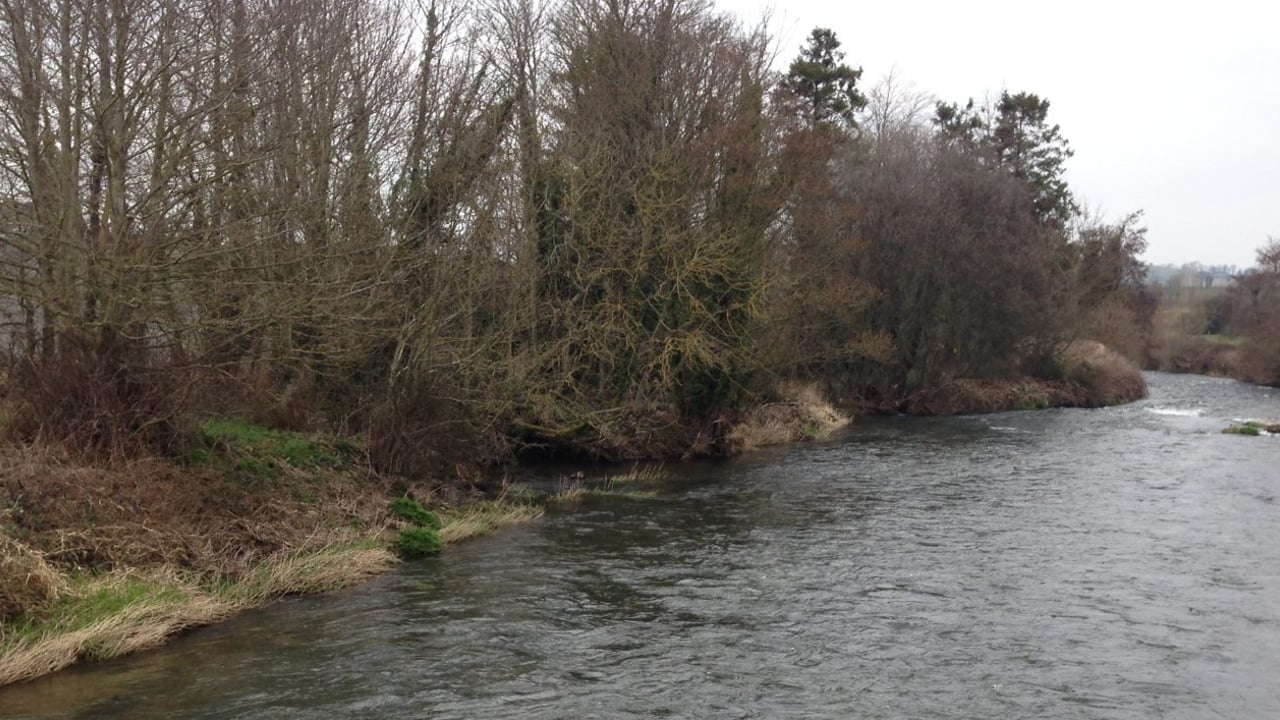 Poor water quality will be the new quota – EPA
