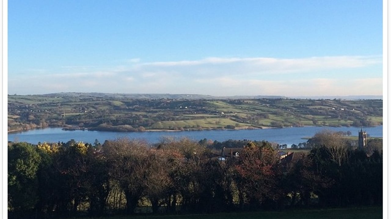 Is this the best dairy staff canteen in the world?