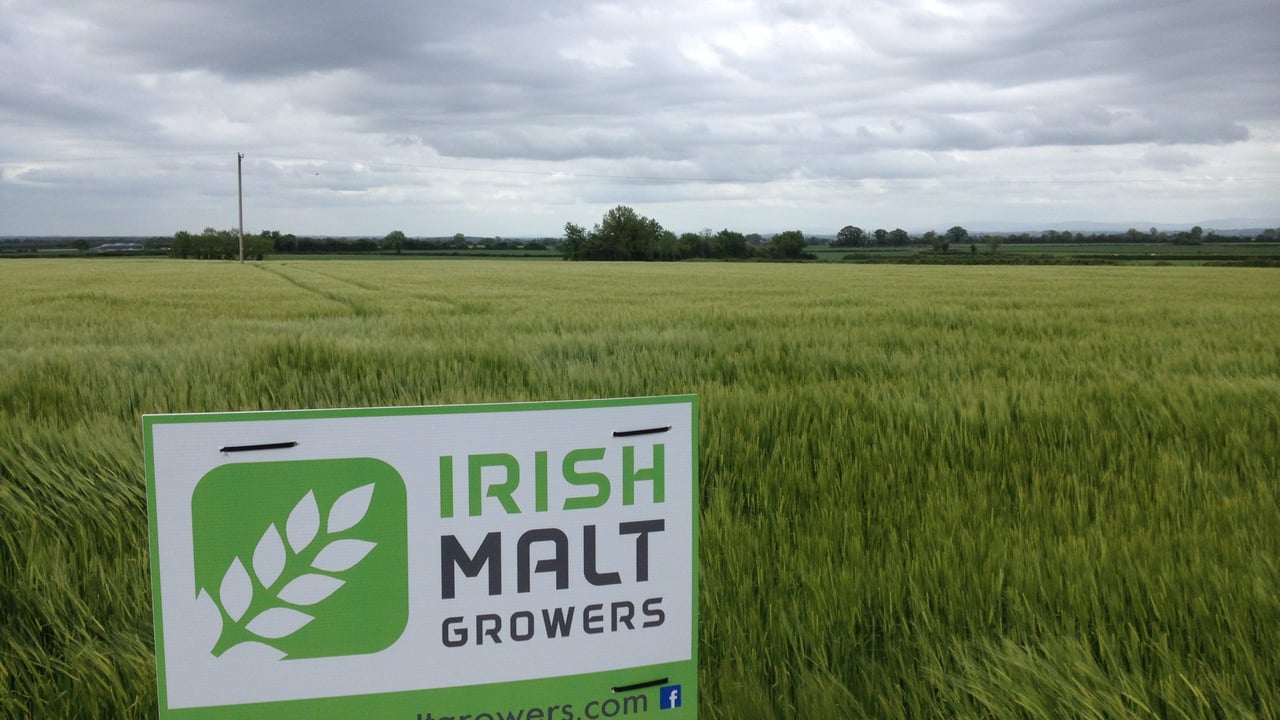 New malting barley group to seek contract price negotiating rights