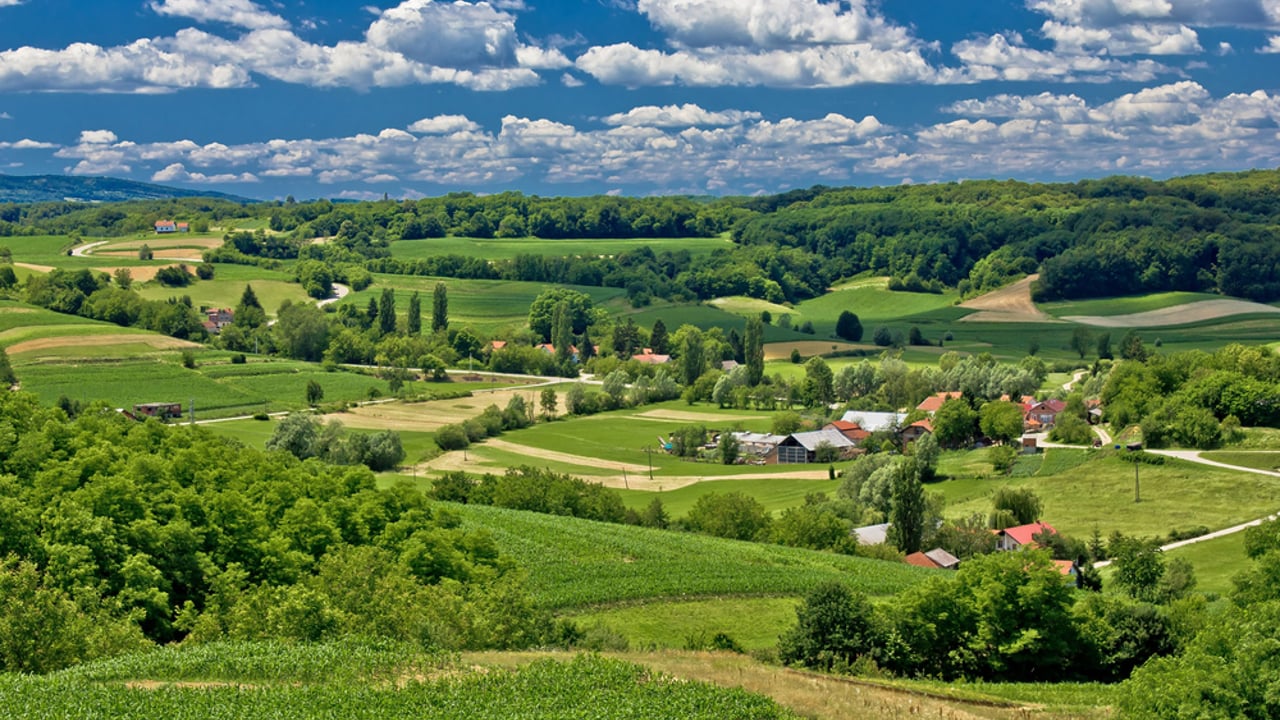 ‘We need to improve access to finance for agriculture’