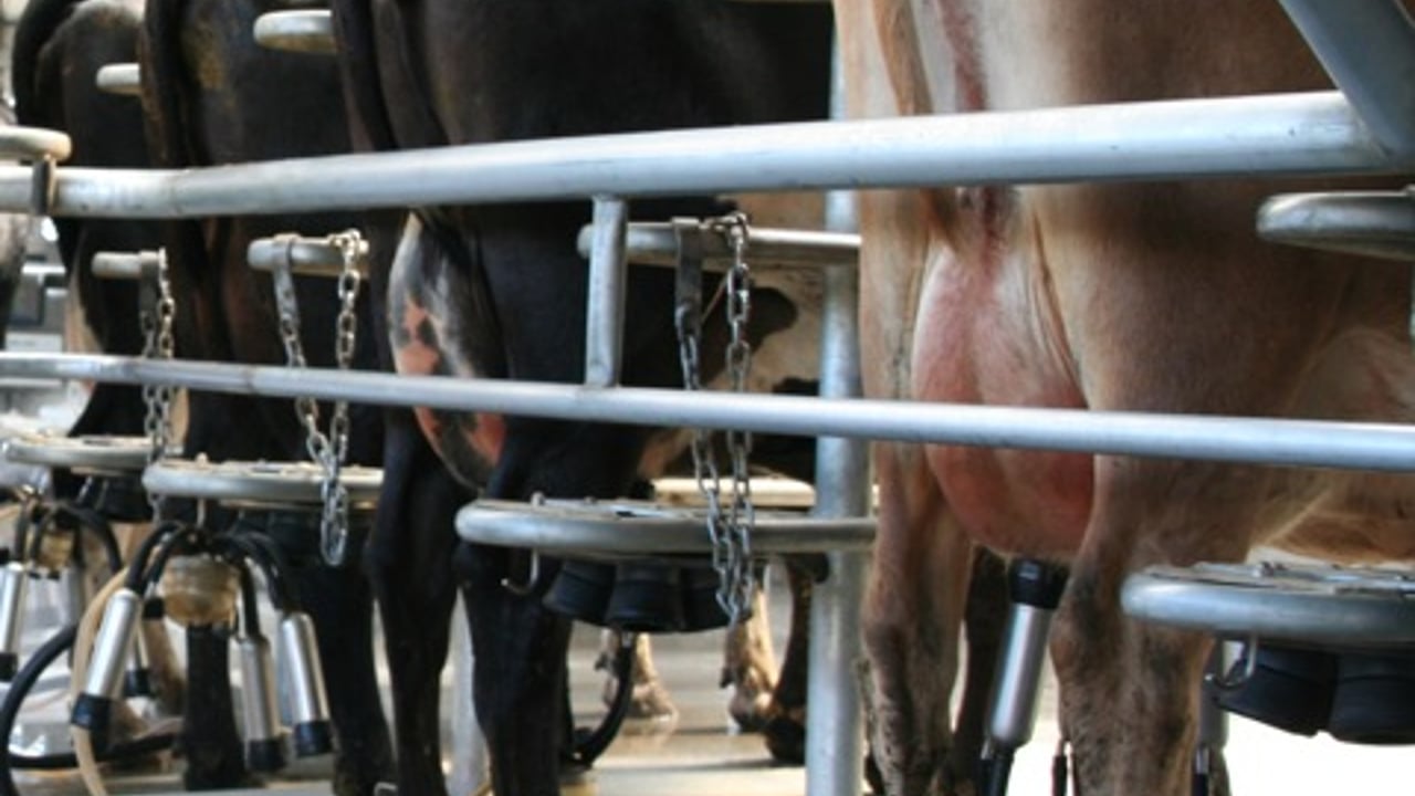 Arla UK cuts milk price for third consecutive month