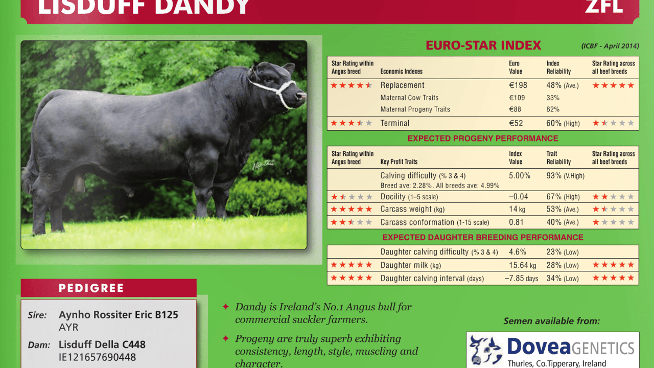 AI bull ‘Lisduff Dandy’ still in service, says Dovea