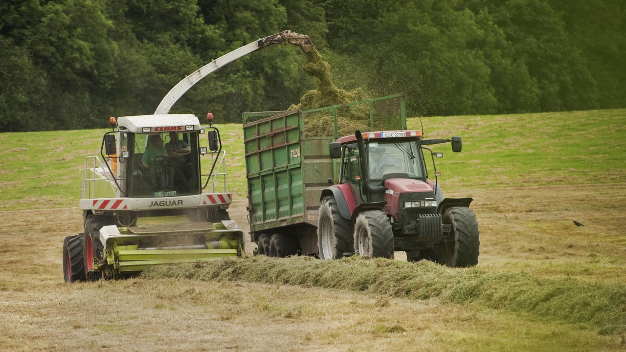 Cutting silage? Here’s how to make the neighbours jealous with your quality silage