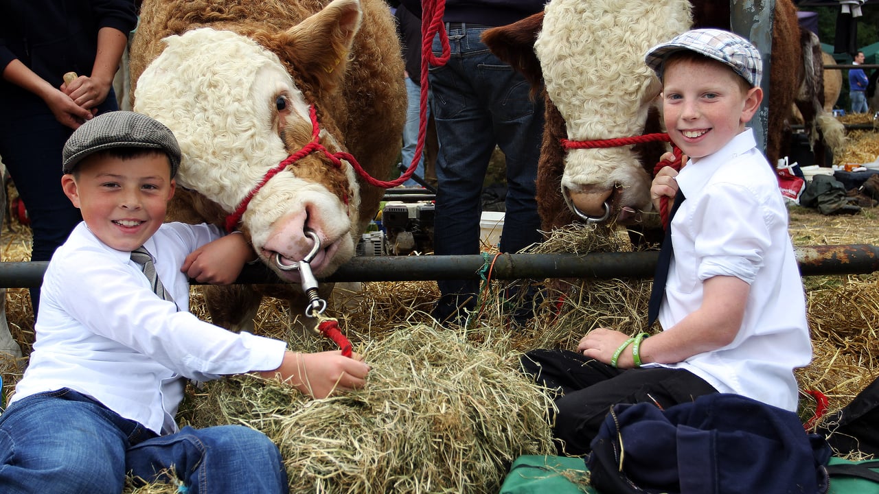 Why 15,000 people are set to attend Virginia Show this year