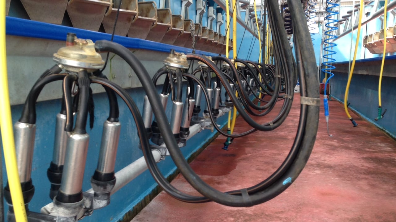 Dairy expansion – Why planning is essential