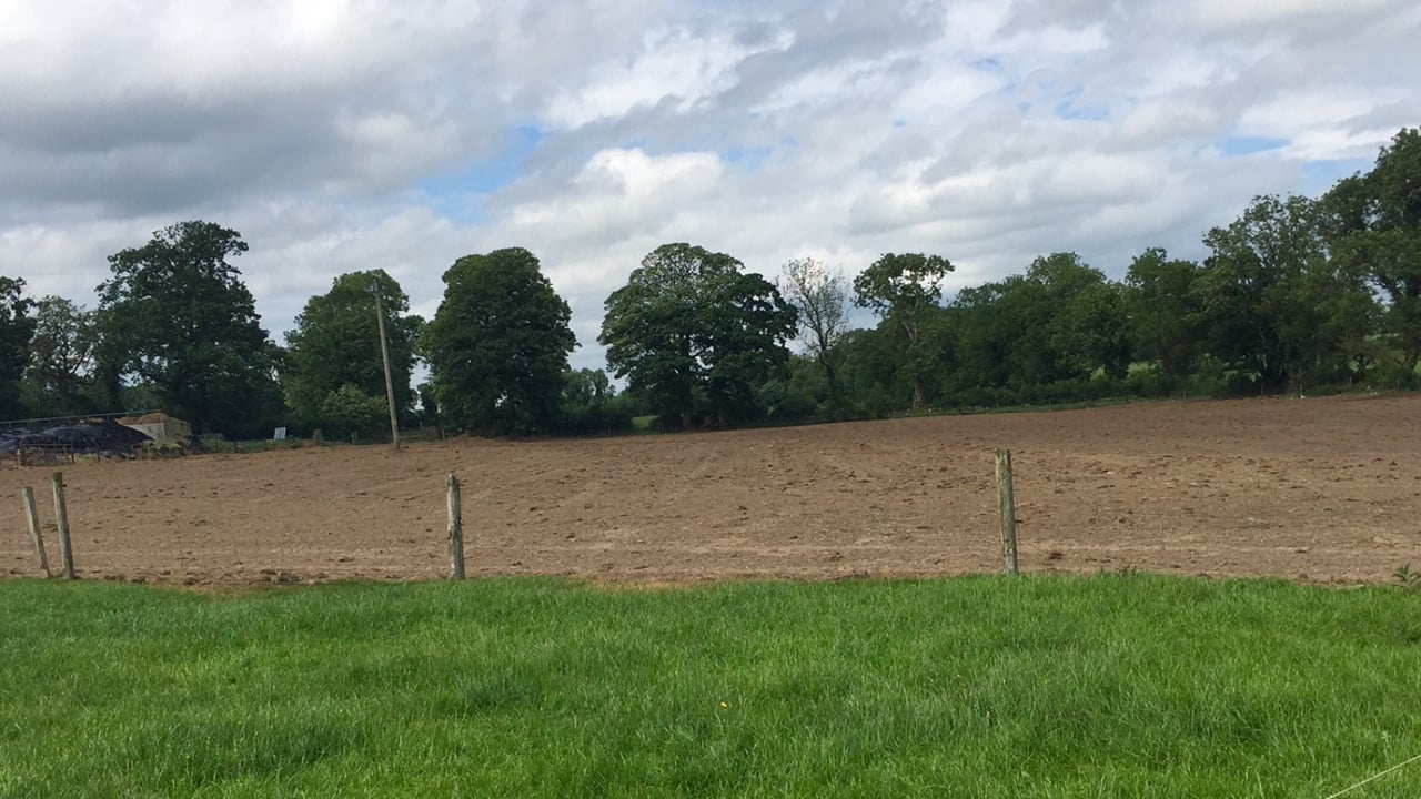 Thinking of reseeding? – Here’s how to choose grass varieties