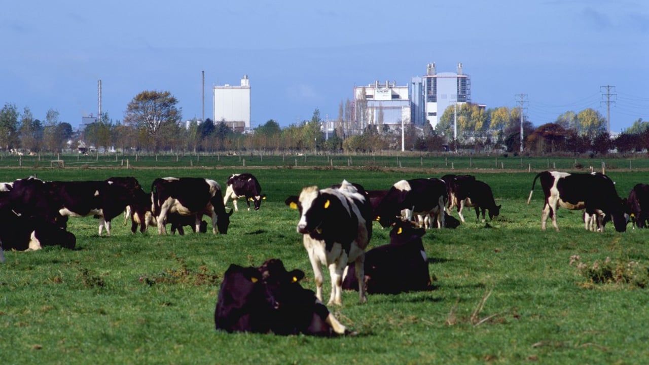 Kiwi dairy farmers’ debt has trebled in 10 years