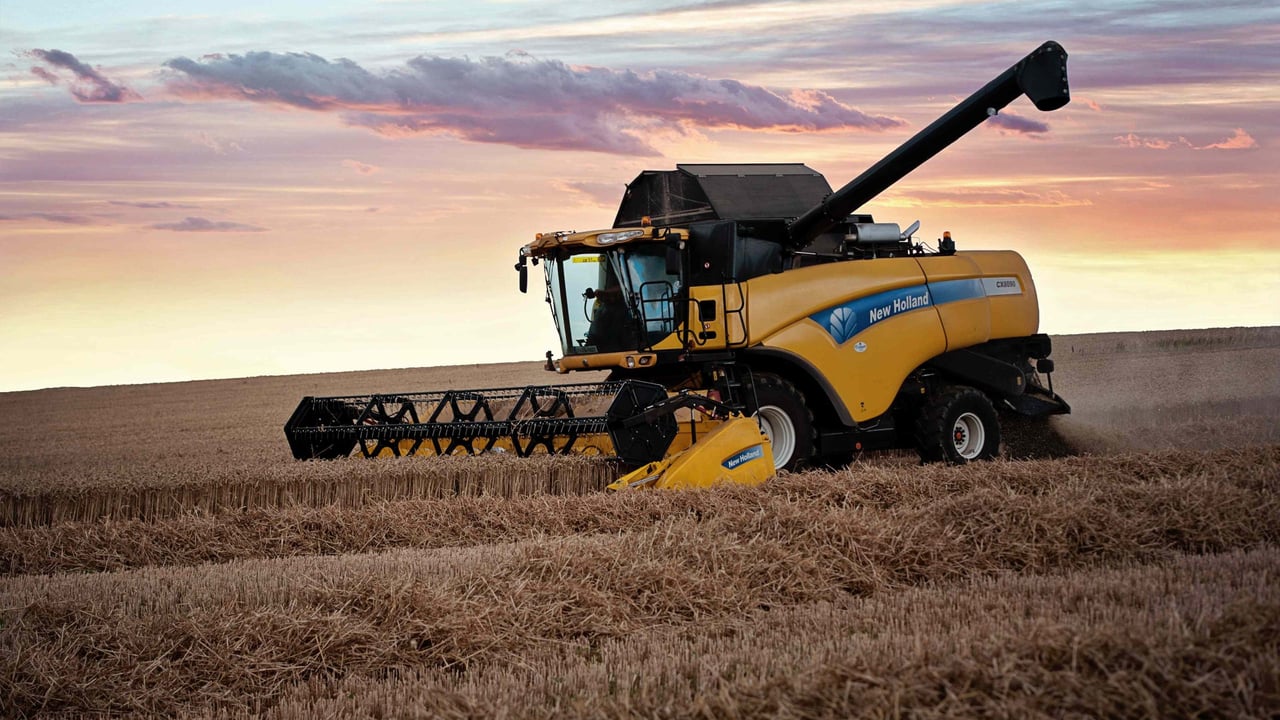French wheat harvest tops 40m tonnes