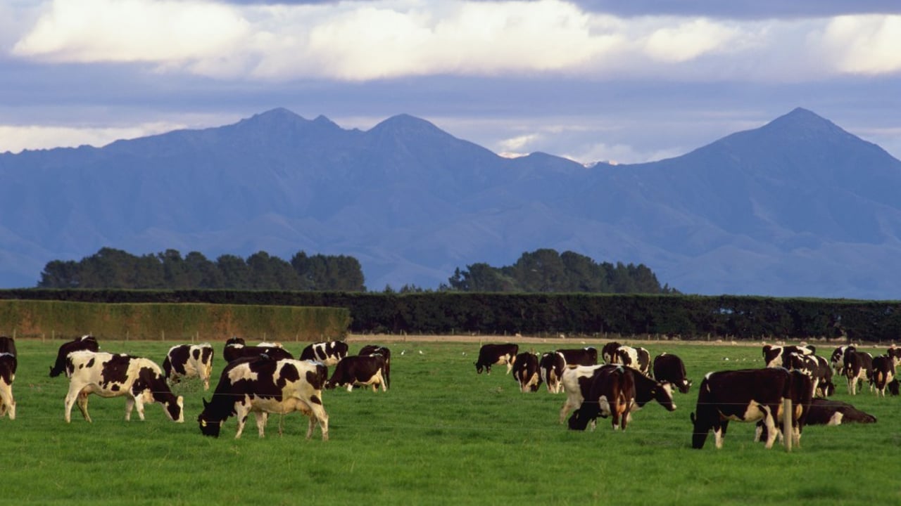 Fonterra sees huge interest in interest-free loans