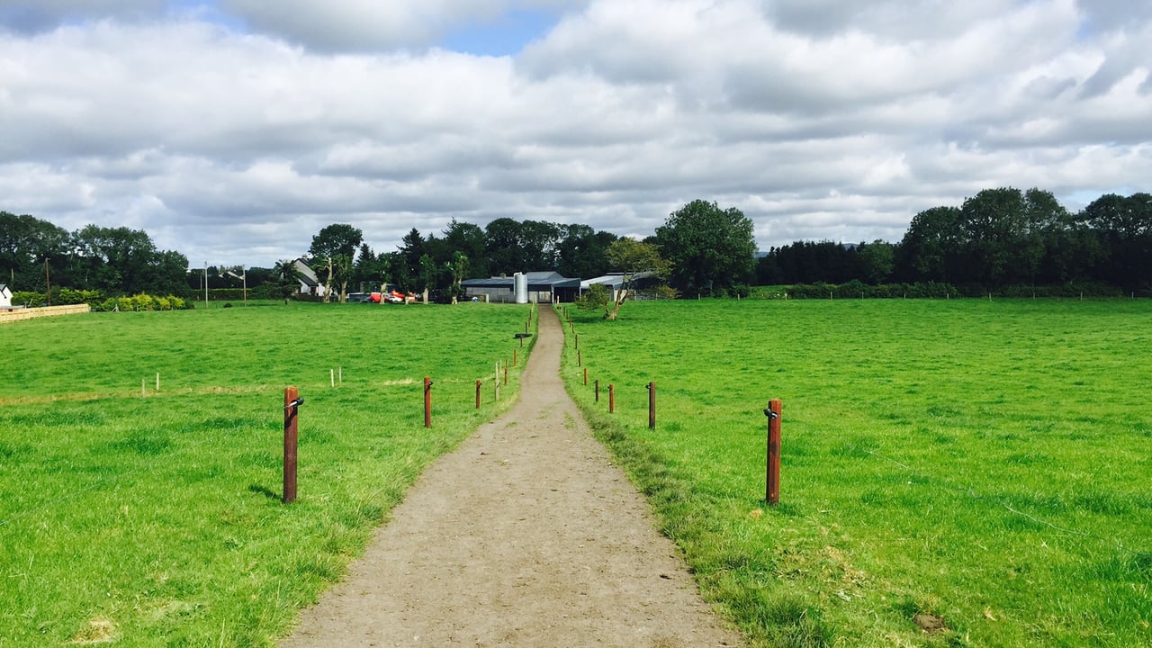 Plenty of planning to do for the remainder of the grazing season