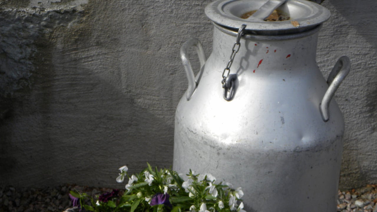 Glanbia holds its November milk price, while Carbery cuts its price