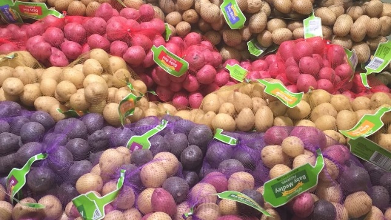 ‘Irish and UK potato yield to be above 5-year average’