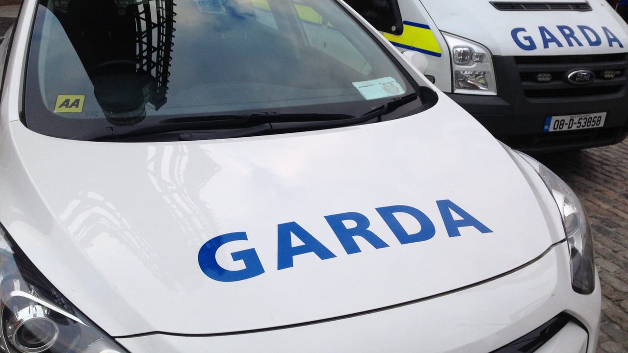 Dog dies after being left in unattended car at Bloom festival