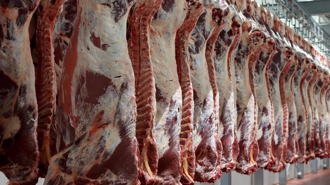 Australian dairy farmers forced to cull cows to pay mounting bills