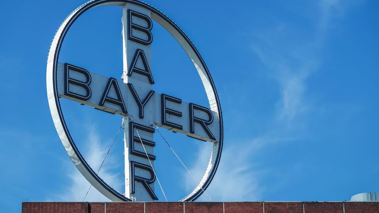 Is Bayer preparing to buy Monsanto?