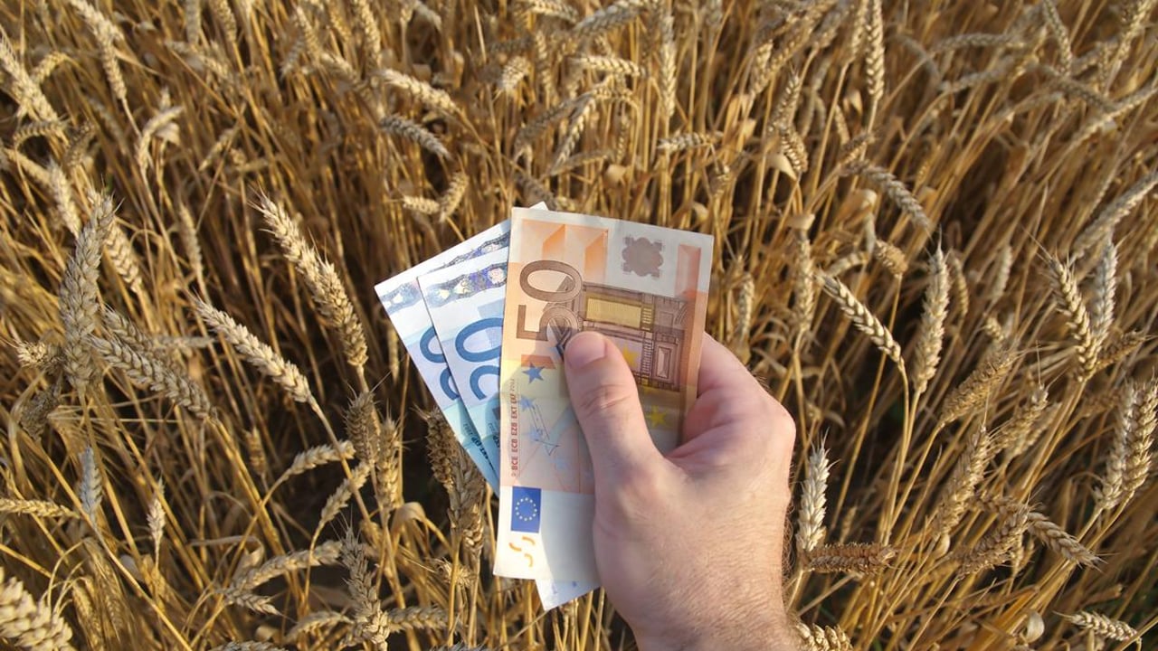 Glanbia special dividend payment now complete