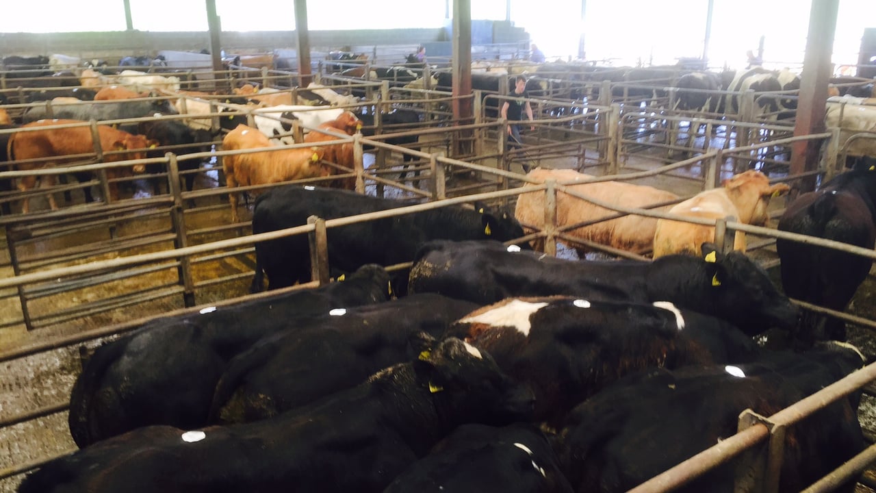 Farmers failing to wear masks at marts could have ‘horrendous ramifications’