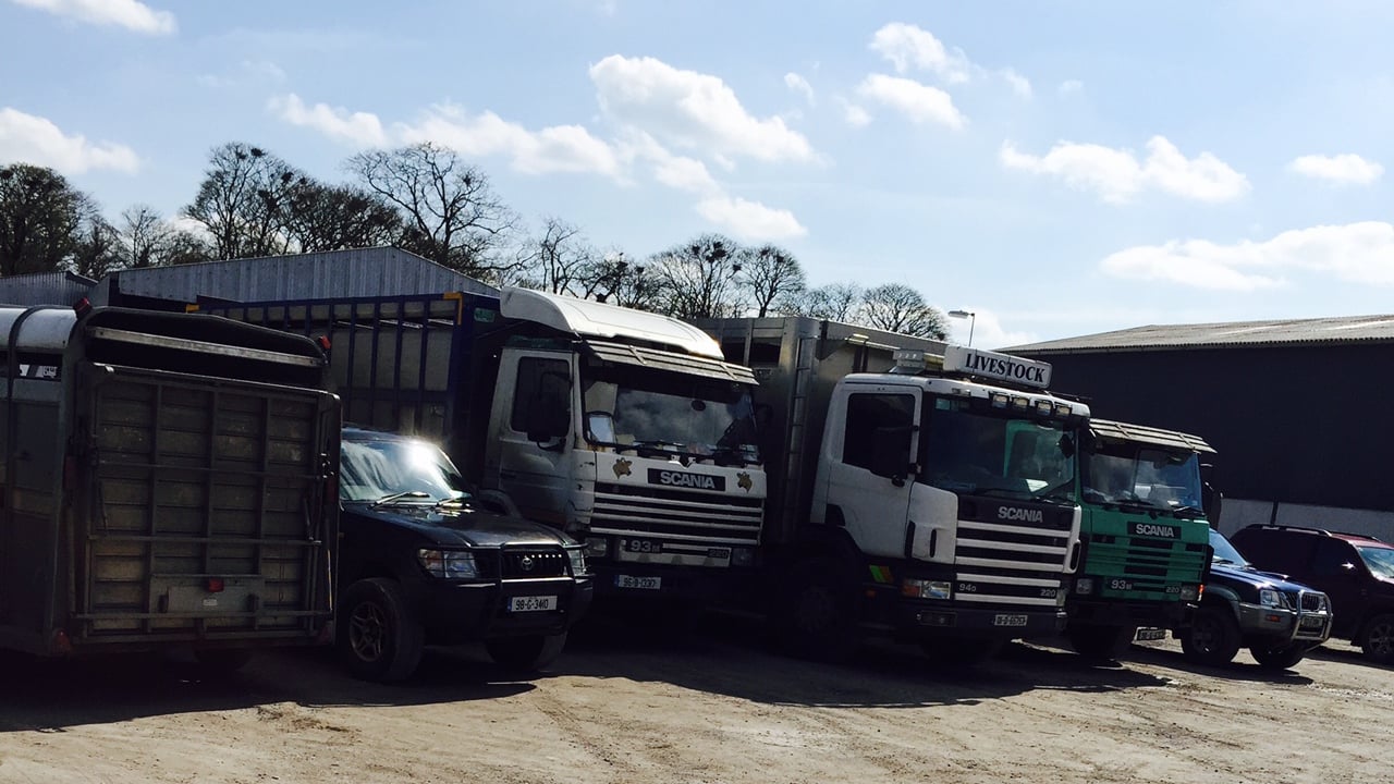 4 things to remember when transporting livestock