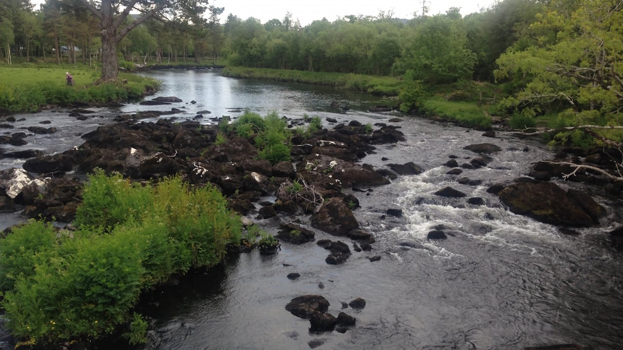 Farmer in the North fined for polluting waterway