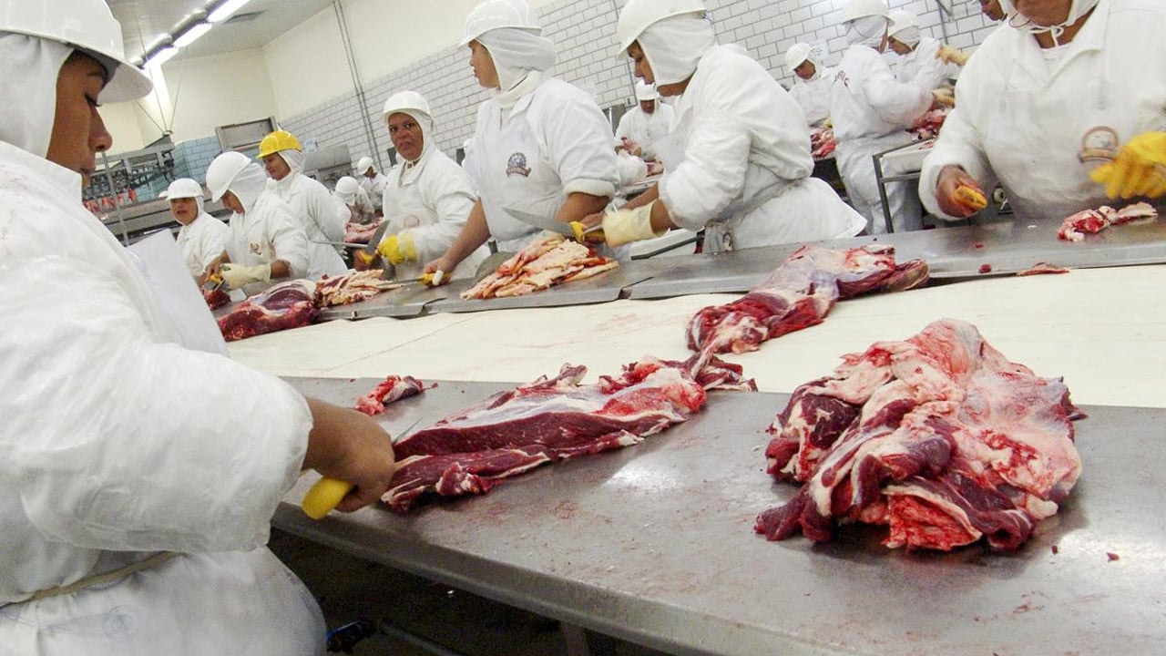 Small fines ‘incentivise’ meat companies to continue endangering employees