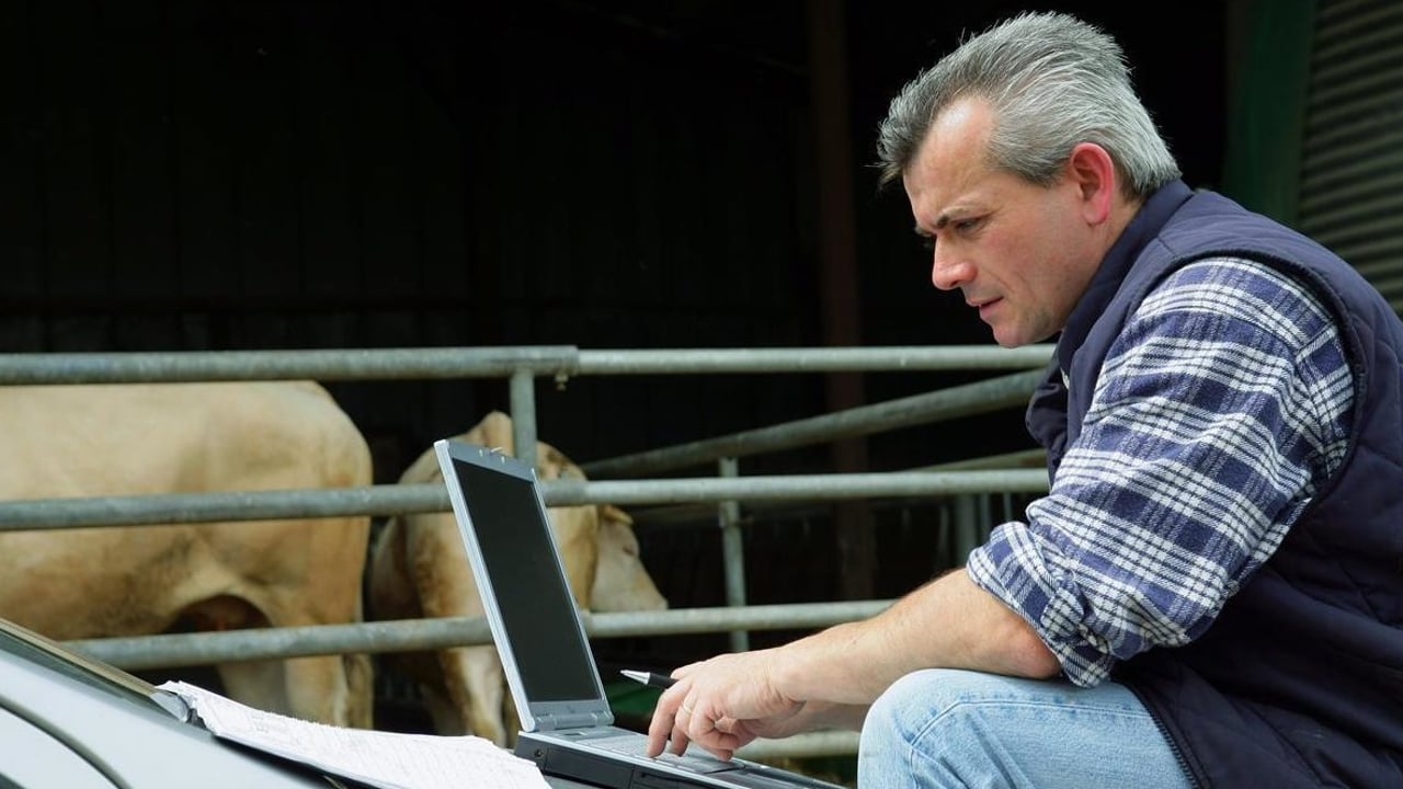 ‘Majority of agri-food professionals worried about Brexit impact’