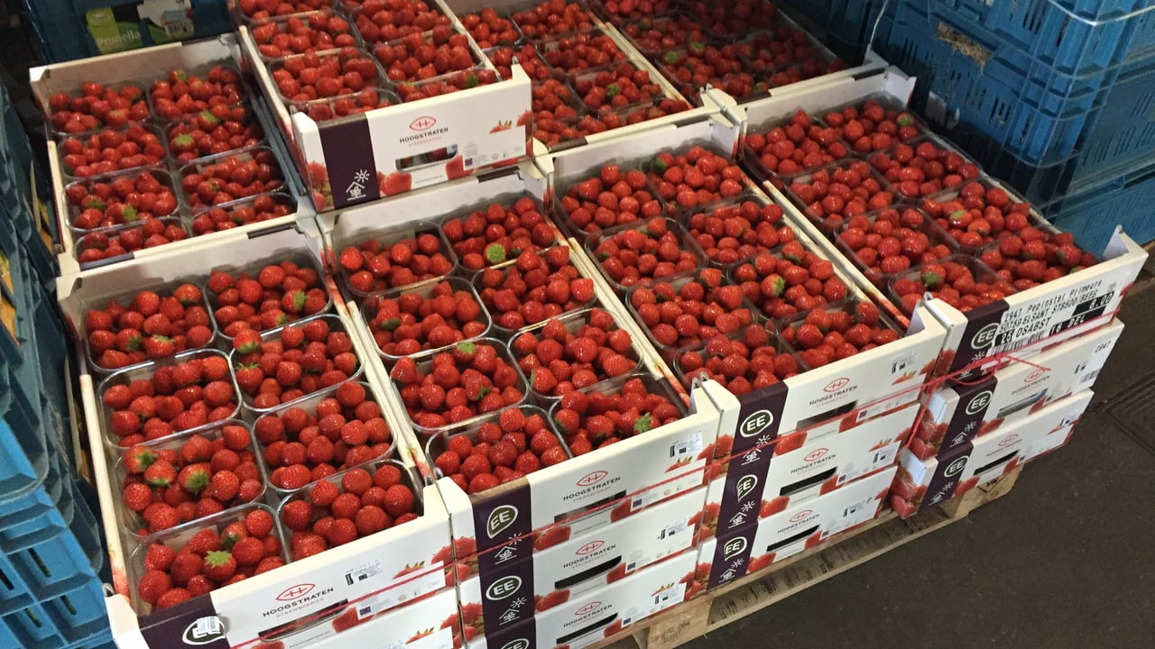 Behind the scenes at one of Europe’s largest fruit and veg co-ops