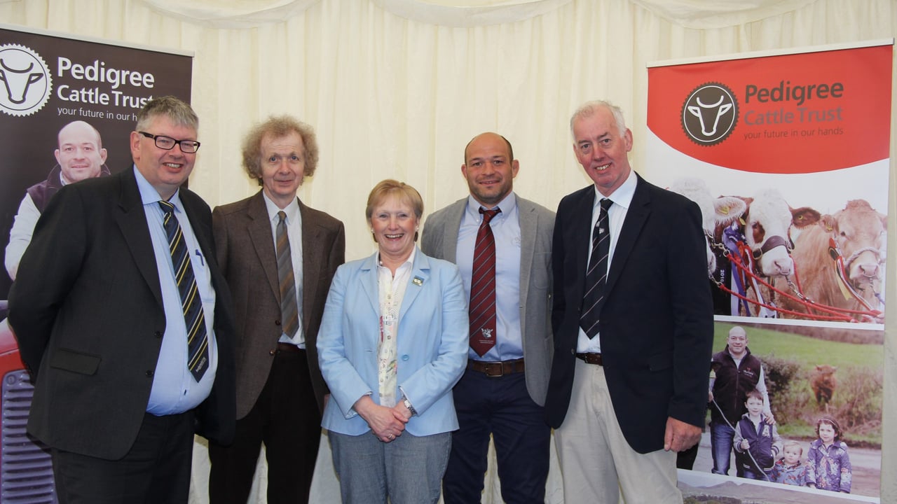 Pedigree Cattle Trust launched at Balmoral Show