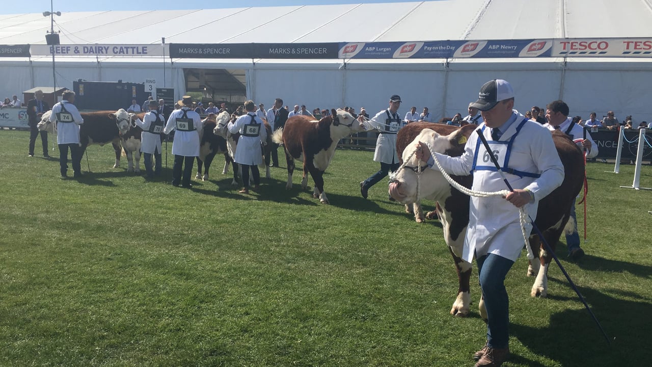 Video: Watch the first day at Balmoral Show 2017