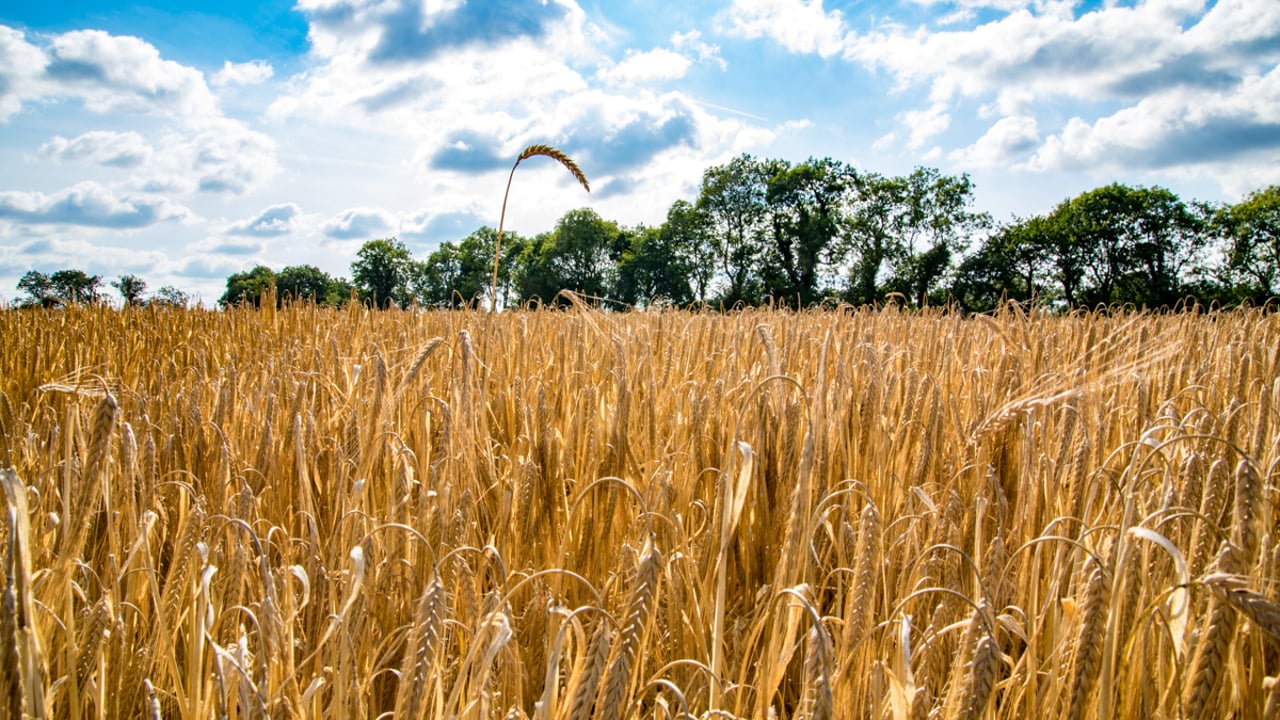 New study shows potential for machinery co-operatives in Scotland