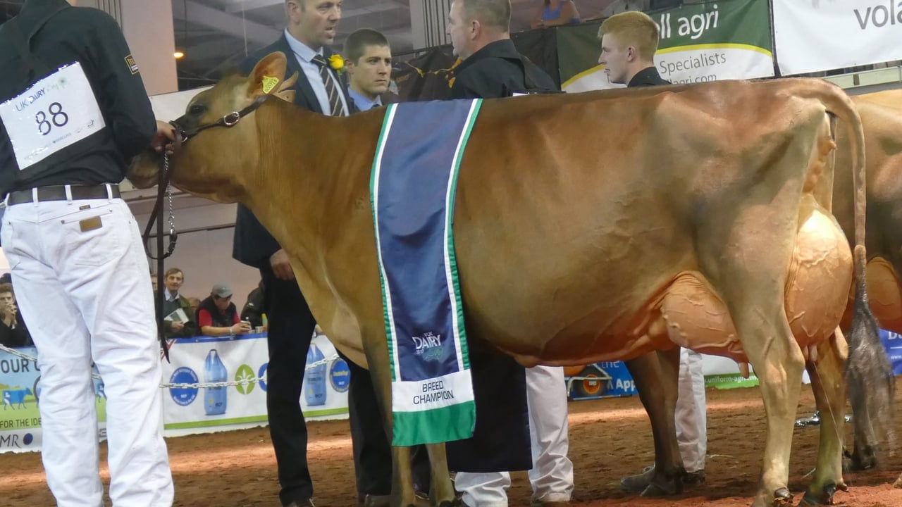 Harp hits the right notes at UK Dairy Day