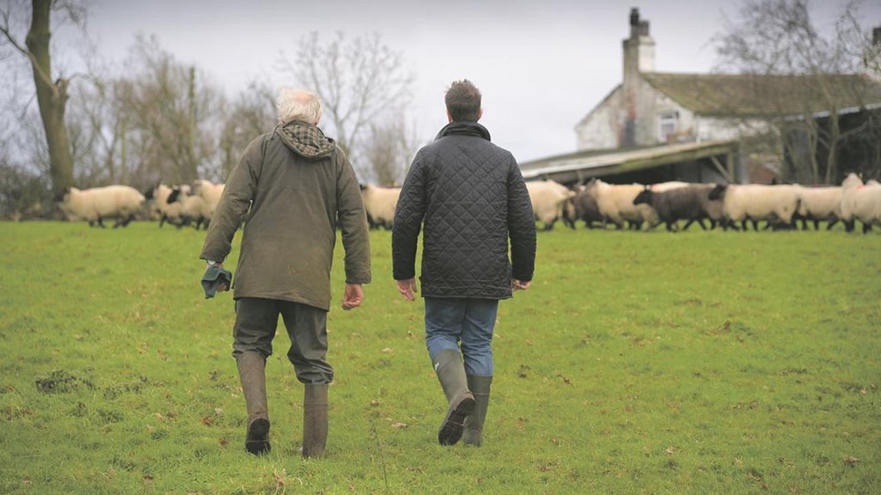 Farm succession the focus at Borders Monitor farm meeting
