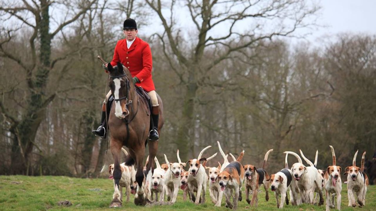 Defra advances trail hunting ban as consultation opens to public