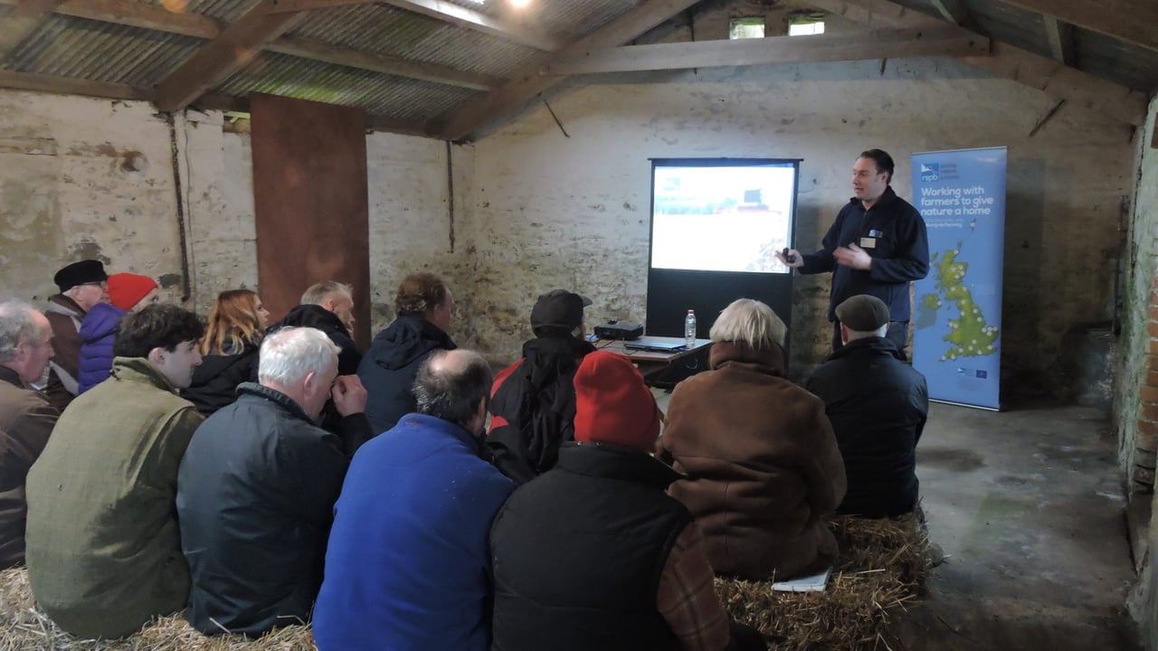 Yellowhammers and other birds benefit from ‘farming together with nature’