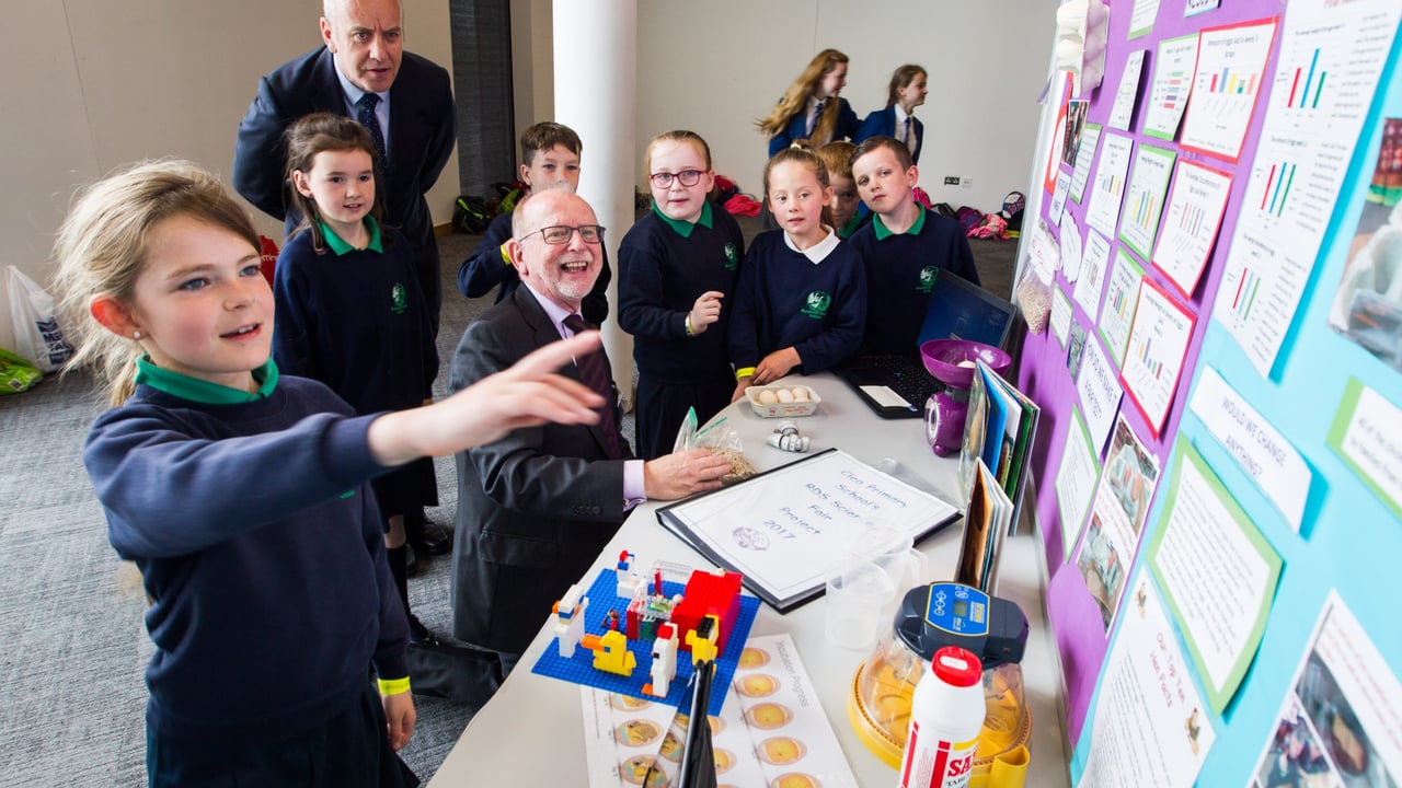 Primary science fair calls for NI country schools and farm kids