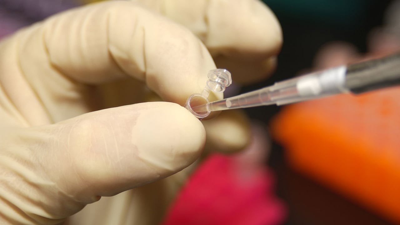New UK-first bovine semen processing lab opened