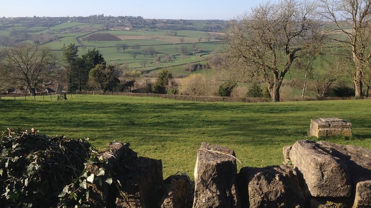 £3.3m project aims to ‘eliminate dependence’ on nitrogen fertilisers